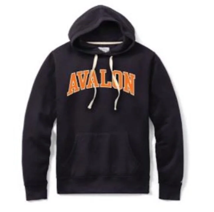 men's zippered sweatshirts -Men's Avalon Collegiate Hoodie - Fall Navy