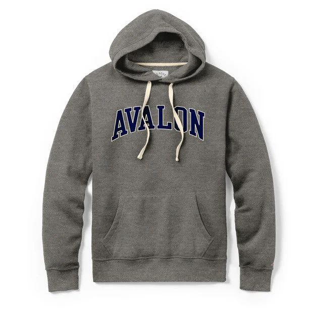 men's casual sweatshirts -Men's Avalon Stadium Hoodie - Physical Ed Gray